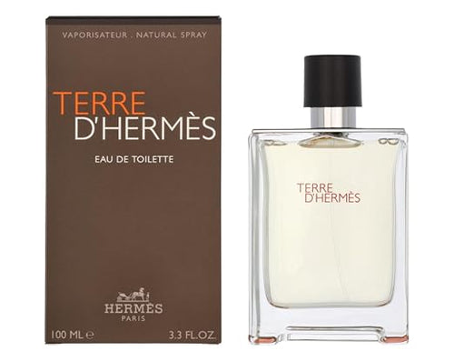 Hermès Terre d'Hermès Eau de Toilette - 100ml Men's Fragrance