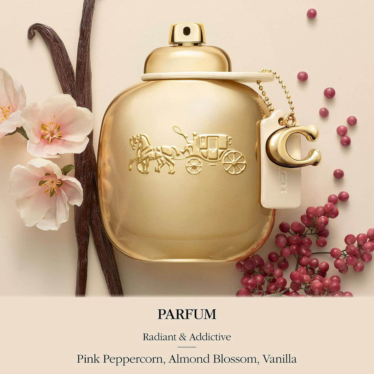 Coach Gold Parfum – 3.4 fl oz / 100 ml Women Fragrance | Fast US Delivery