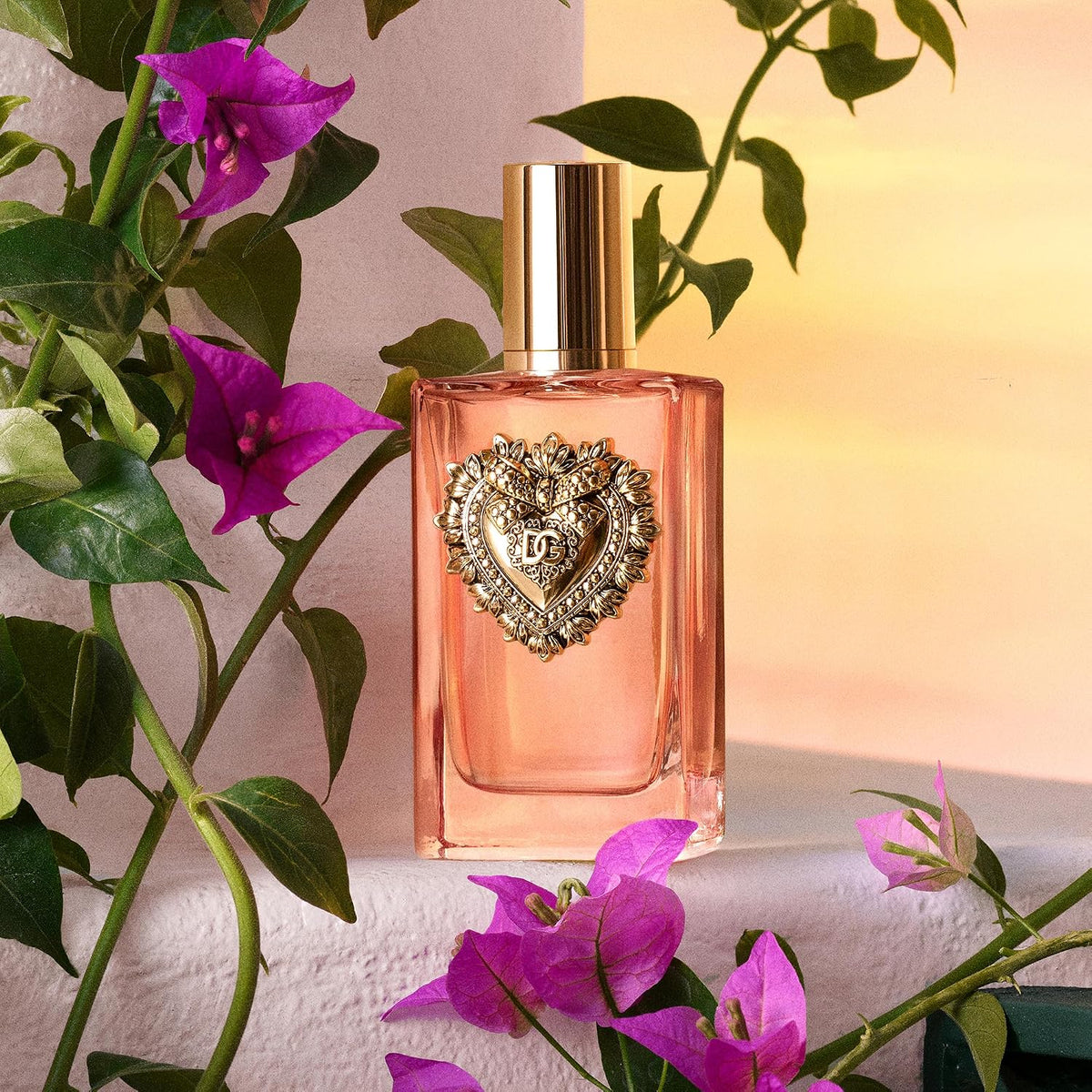 Dolce & Gabbana Devotion Intense 1.7 fl oz – Premium Women Scent, Ships Free