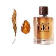 Giorgio Armani Acqua di Giò Absolu Profumo 3.4 oz / 100 ml – Premium Unisex Scent, Ships Free