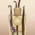 Burberry GODDESS Hot Popular Gift Good Deal Best Seller (100 ml) – 55% Off Designer Perfume for Unisex